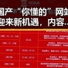 国产“你懂的”网站迎来新机遇，内容与发展持续深化