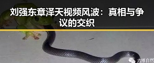 黑料吃瓜资讯平台 | 全面揭秘网红黑料与每日大瓜