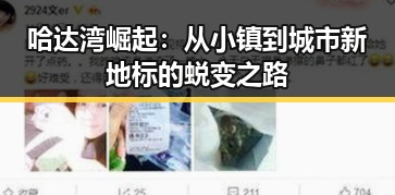 哈达湾崛起：从小镇到城市新地标的蜕变之路